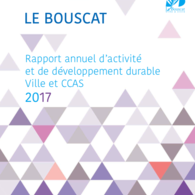 RAPPORT D'ACTIVITÉ ET DE DÉVELOPPEMENT DURABLE 2017