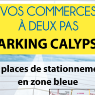 Parking Calypso