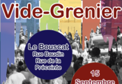 Vide-grenier