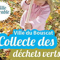 Collecte des déchets verts