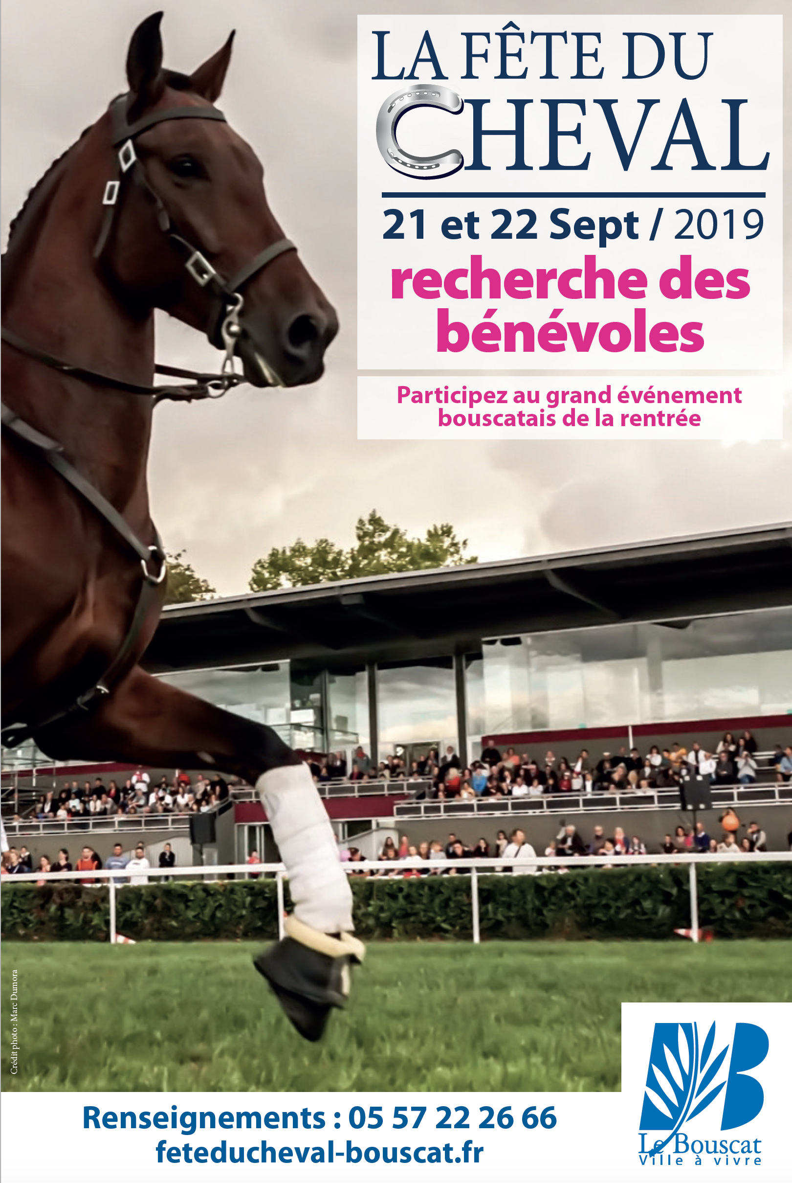 La Fête du cheval recrute des bénévoles !