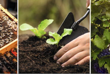 Lire la suite : FORUM DES MÉTIERS DE DEMAIN