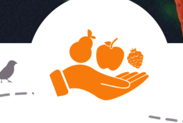 Lire la suite : Collecte Banque alimentaire