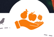 Collecte Banque alimentaire