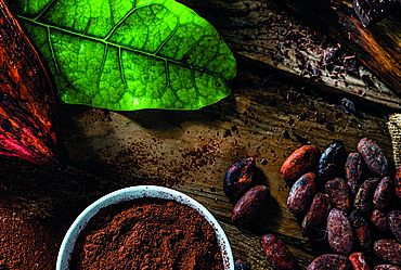 Lire la suite : CONFÉRENCE par Juan Casares