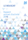 Télécharger RAPPORT ANNUEL D'ACTIVITE 2016 (nouvelle fenêtre)