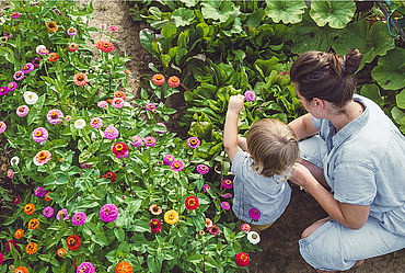 Lire la suite : ATELIER «JARDINER AU NATUREL»