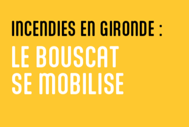 Lire la suite : INCENDIES EN GIRONDE
