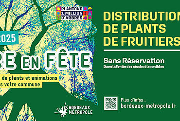 Lire la suite : L'ARBRE EN FÊTE