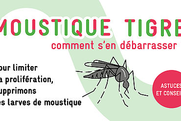 Lire la suite : MOUSTIQUE : ADOPTER LES BONS GESTES...