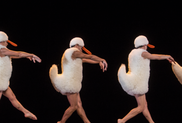 Lire la suite : SAISON CULTURELLE : TUTU