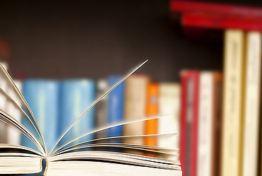 Lire la suite : TÉLÉTHON : BRADERIE DE LIVRES