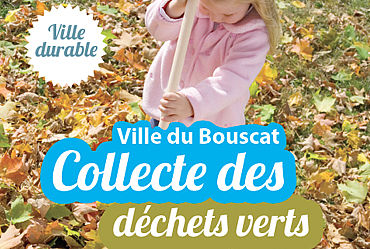 Lire la suite : Collecte des déchets verts