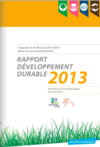 Télécharger Rapport Développement Durable 2013 (nouvelle fenêtre)