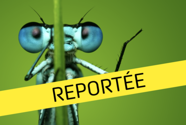 Lire la suite : BALADE &quot;À LA DÉCOUVERTE DES INSECTES&quot;