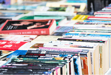 Lire la suite : TÉLÉTHON : BRADERIE DE LIVRES