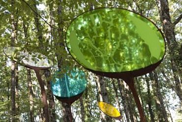 Lire la suite : LE BOIS DU BOUSCAT FÊTE SES 10 ANS