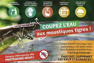 Lire la suite : Coupez l'eau aux moustiques