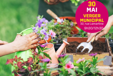 Lire la suite : ADOPTEZ UNE PLANTE